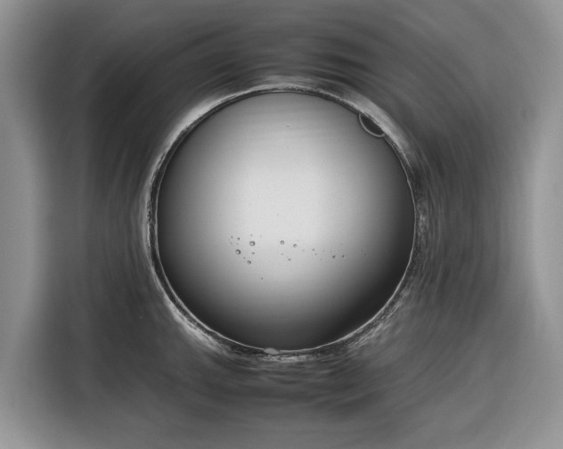 X0000116351143200912091124