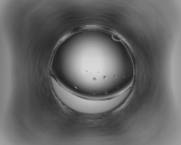 X0000116351145200912091124