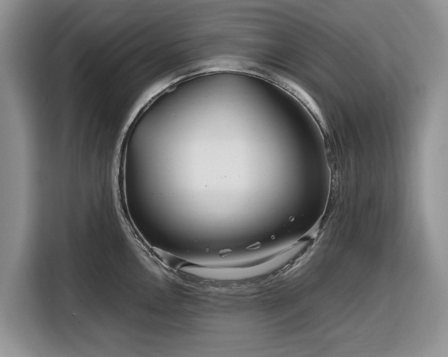 X0000116351146200912091124