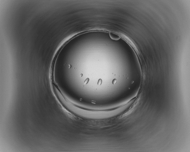 X0000116351149200912091124