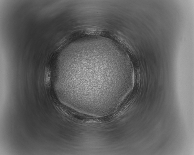 X0000116351154200912091124