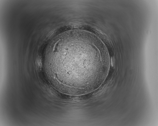 X0000116351155200912091124