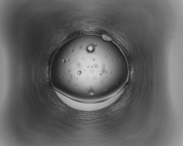 X0000116351156200912091124