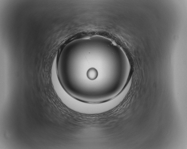 X0000116351157200912091124