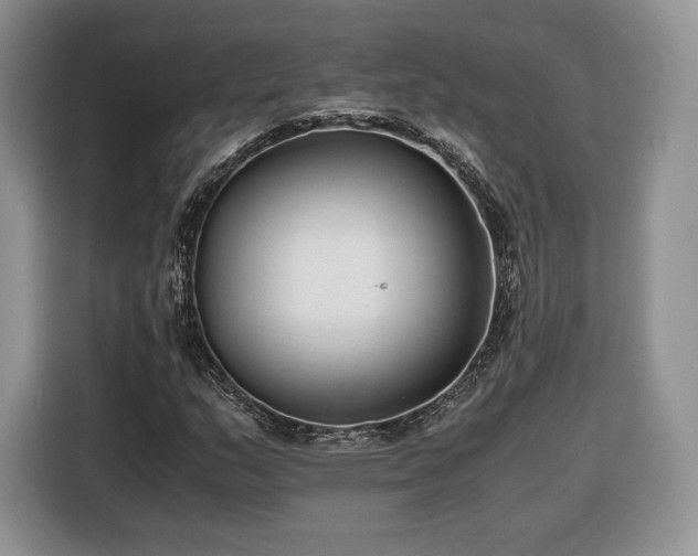 X0000116351159200912091124