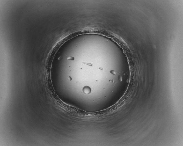 X0000116351160200912091124