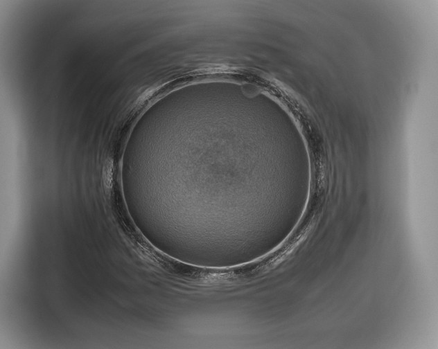 X0000116351161200912091124