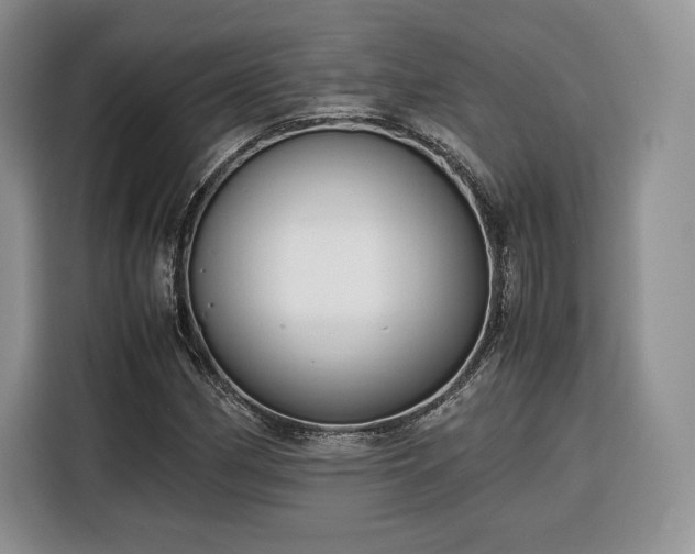 X0000116351162200912091124