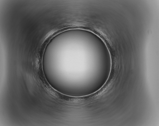 X0000116351163200912091124