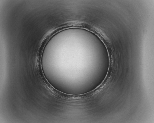 X0000116351164200912091124