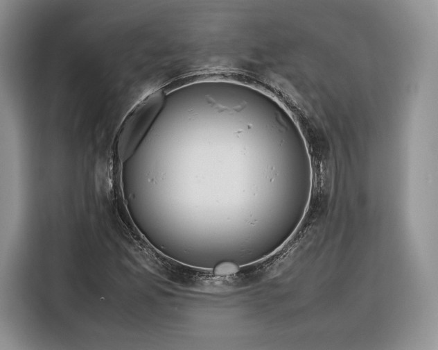 X0000116351165200912091124