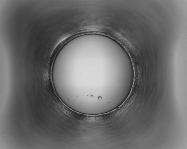 X0000116351166200912091124