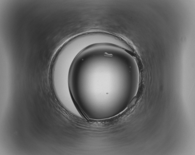 X0000116351167200912091124