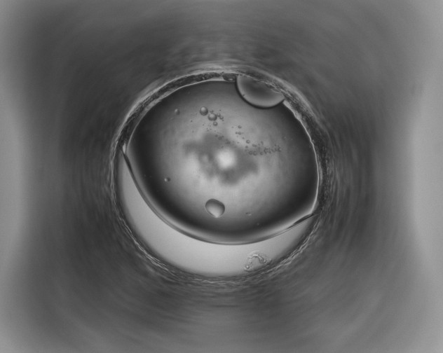 X0000116351168200912091124