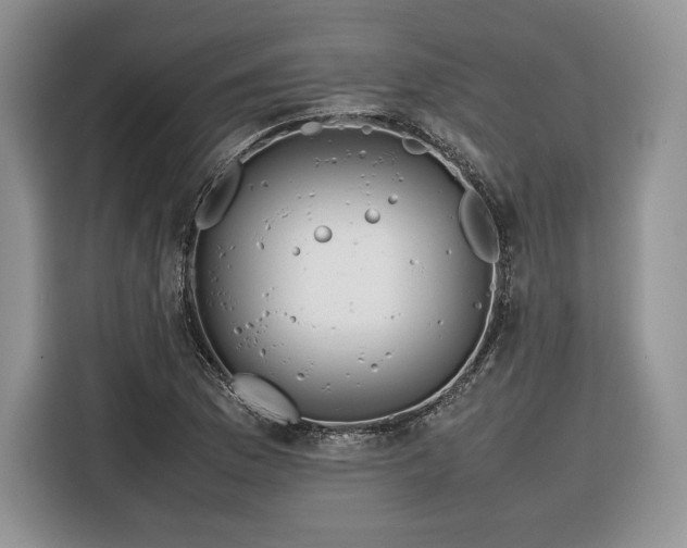 X0000116351169200912091124