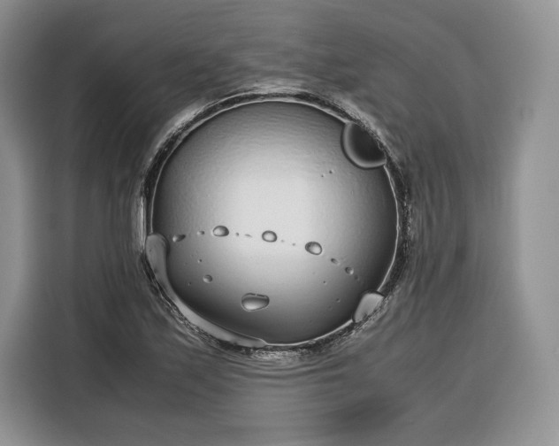 X0000116351171200912091124