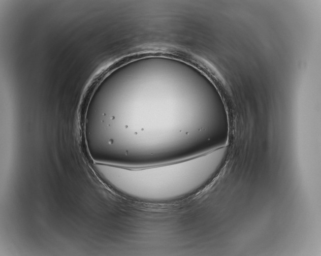 X0000116351172200912091124