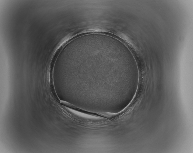 X0000116351173200912091124