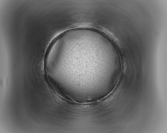 X0000116351174200912091124