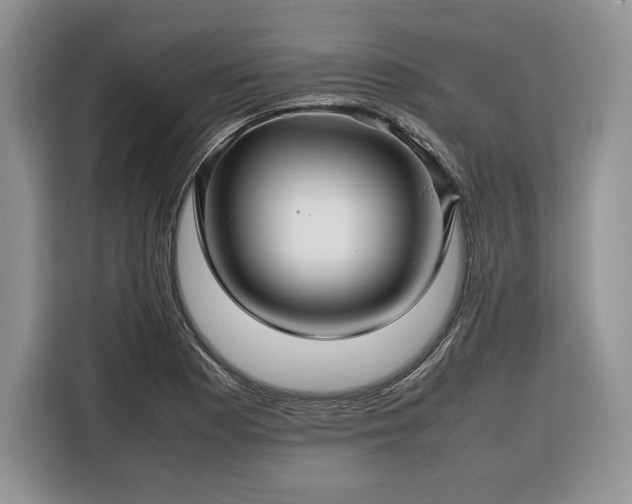 X0000116351177200912091124