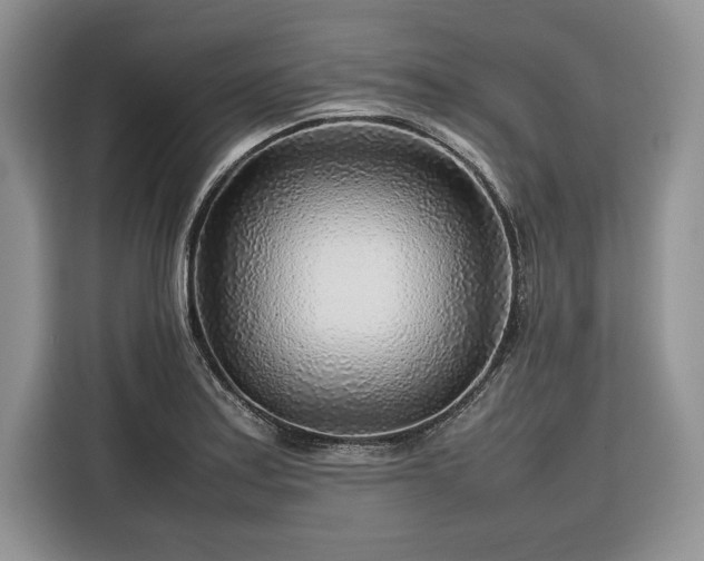 X0000116351179200912091124