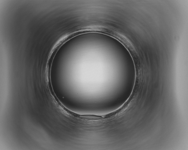 X0000116351180200912091124