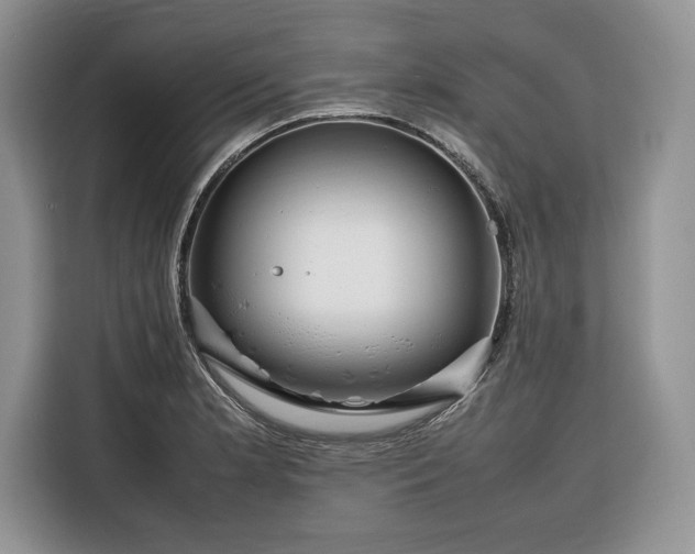 X0000116351181200912091124