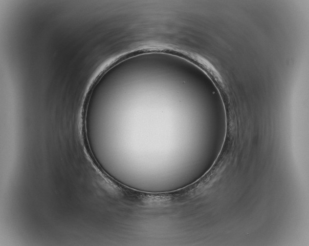 X0000116351183200912091123