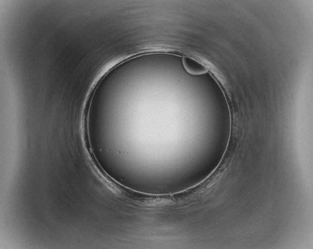 X0000116351187200912091123