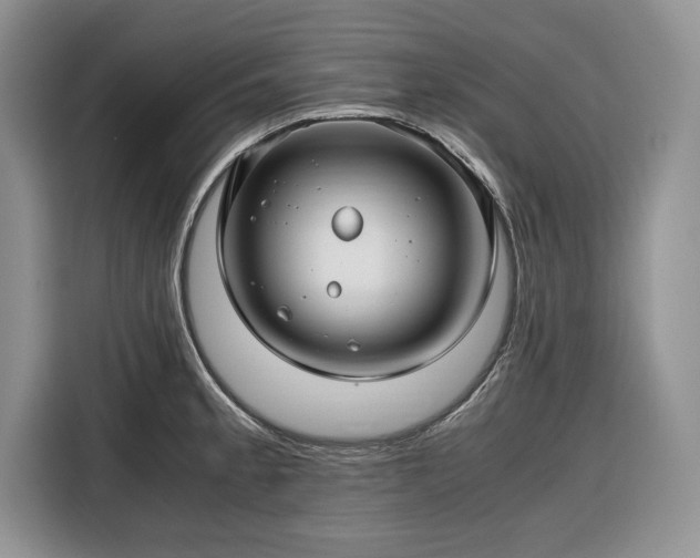 X0000116351189200912091123