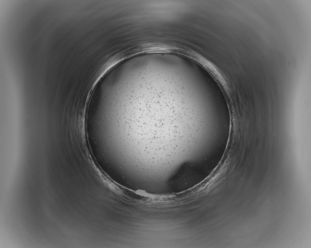 X0000116351194200912091123