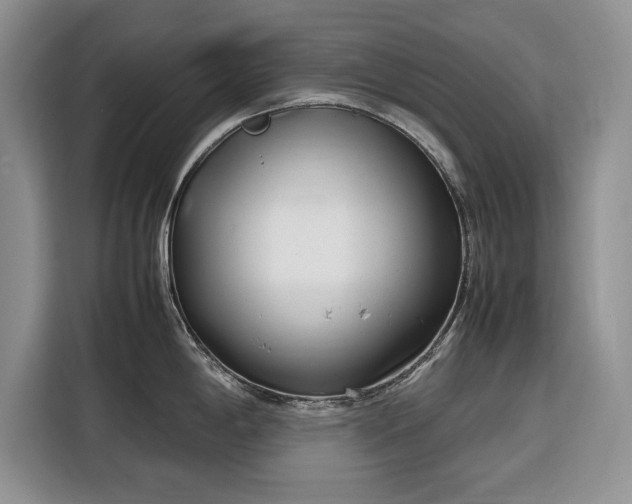 X0000116351198200912091123