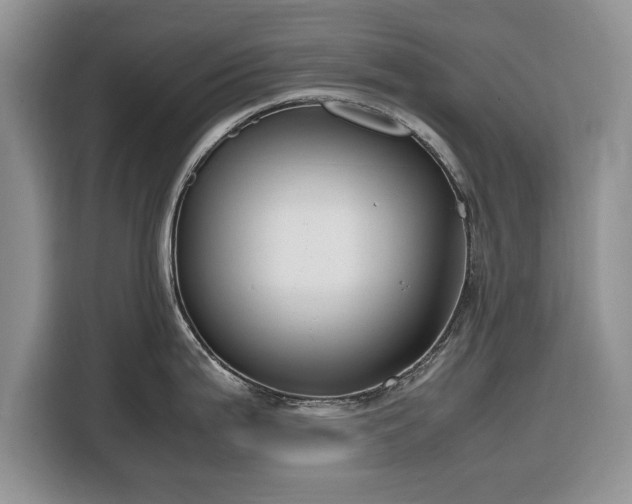 X0000116351199200912091123