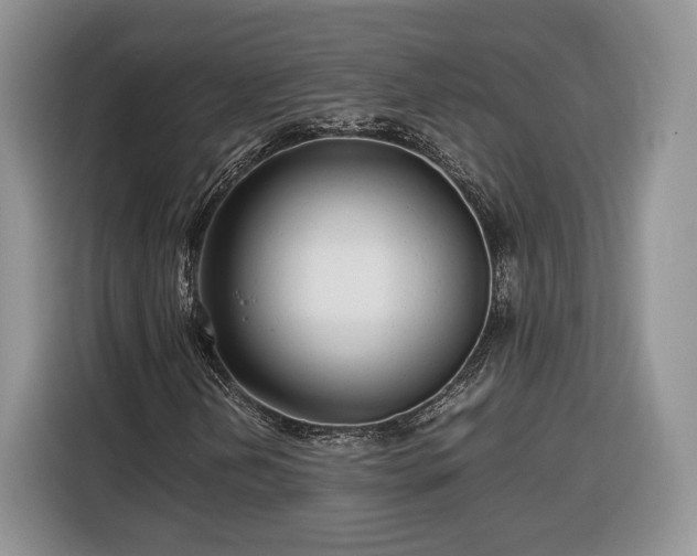 X0000116351202200912091123