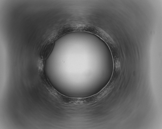 X0000116351204200912091123