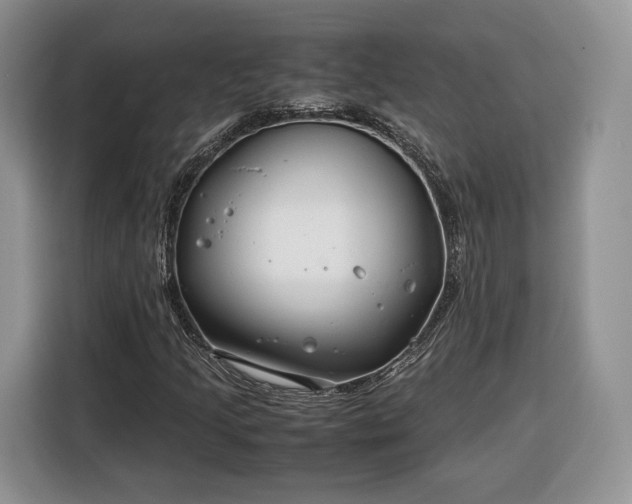 X0000116351205200912091123