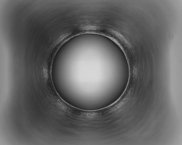 X0000116351209200912091123