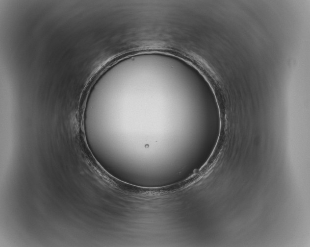 X0000116351212200912091123