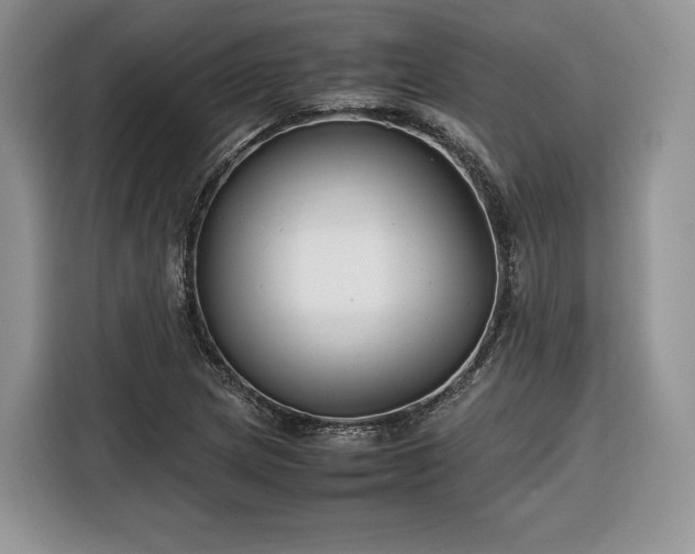 X0000116351217200912091123