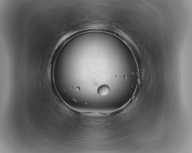 X0000116351222200912091123