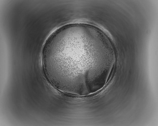 X0000116351224200912091123