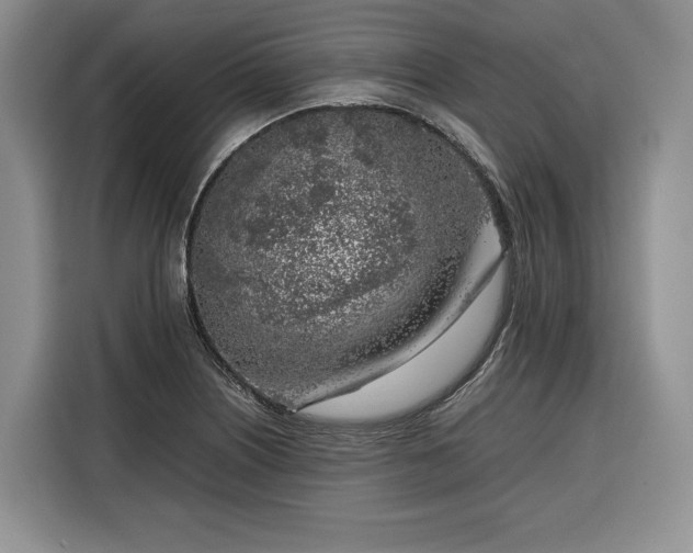 X0000116351226200912091123