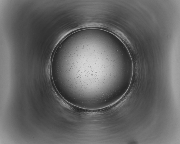 X0000116351228200912091123