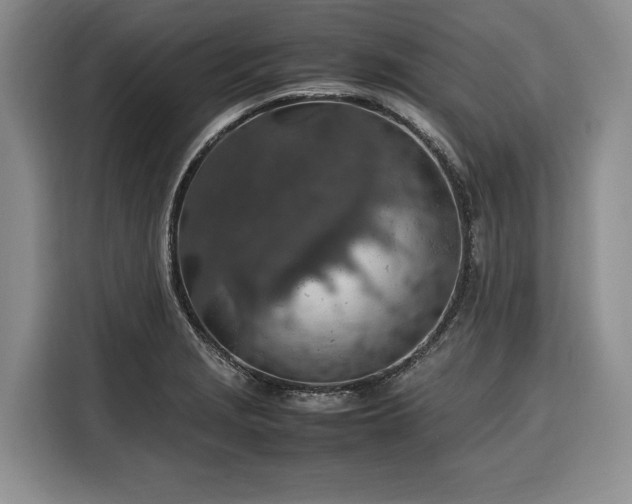 X0000116351229200912091123