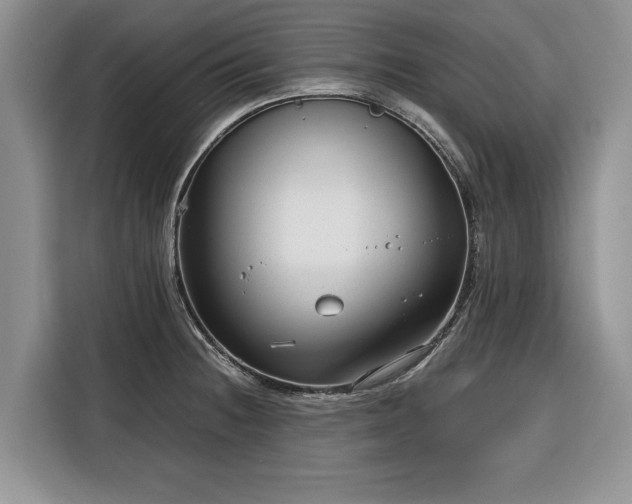 X0000116351236200912091123