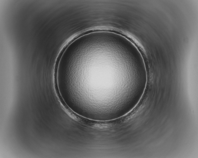 X0000116351237200912091123