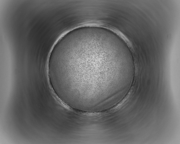 X0000116351240200912091123