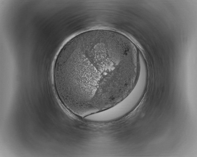 X0000116351246200912091123