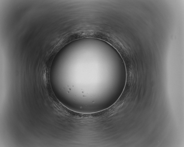 X0000116351250200912091123