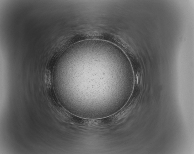 X0000116351251200912091123